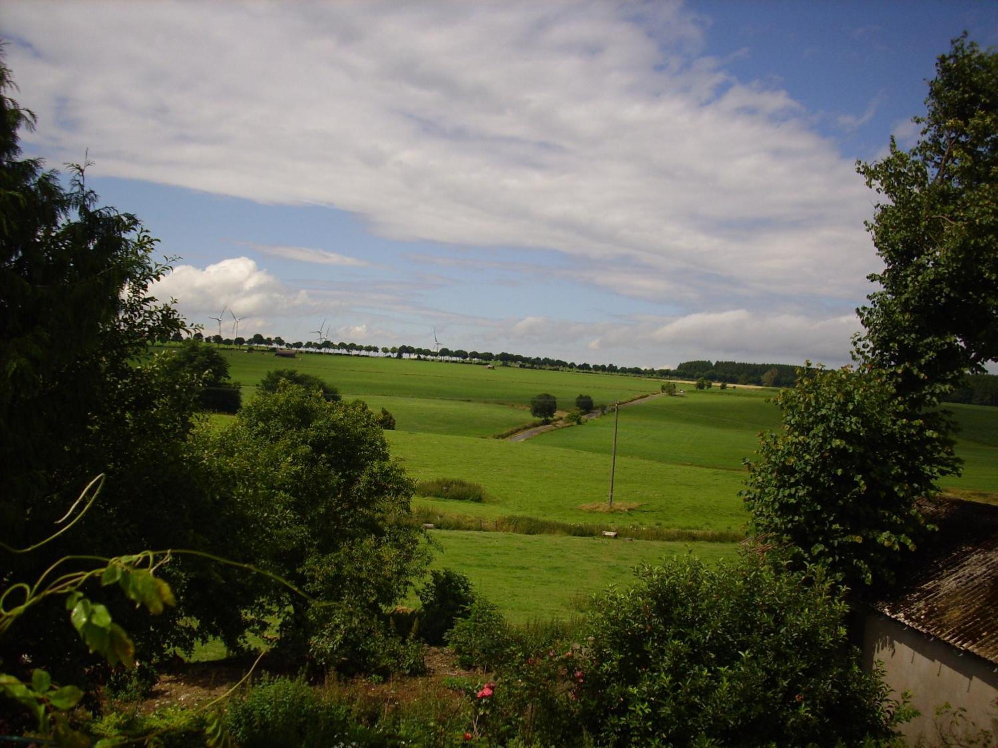 Willekes Bluetenhof Madfeld Zewnętrze zdjęcie